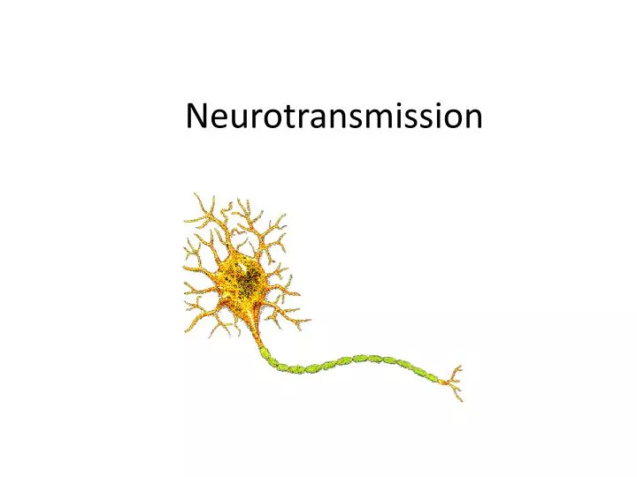 neurotransmission