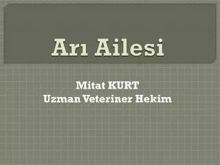 ar ailesi