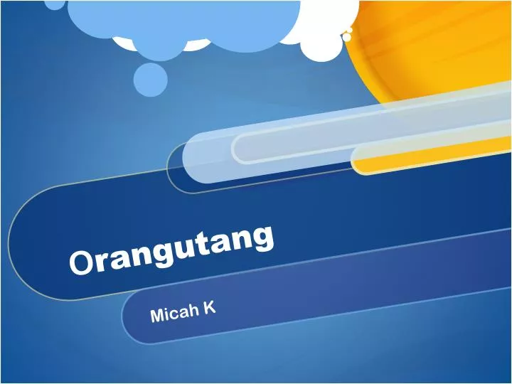 o rangutang