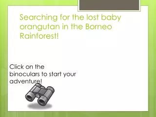 Searching for the lost baby orangutan in the Borneo Rainforest!