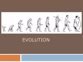 evolution