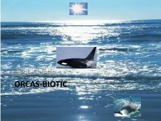 orcas biotic