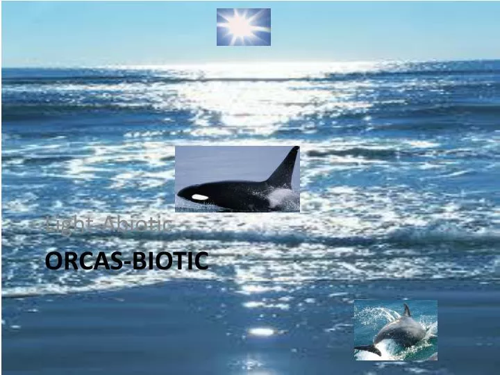 orcas biotic