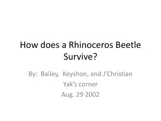 How does a Rhinoceros Beetle Survive?