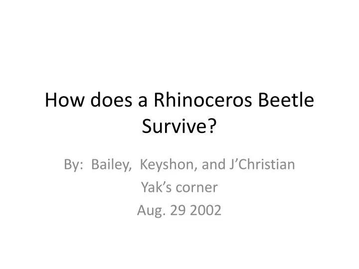 how does a rhinoceros beetle survive