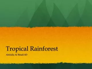 Tropical Rainforest