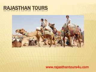 Rajasthan Tours