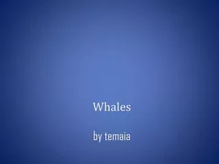 Whales by temaia