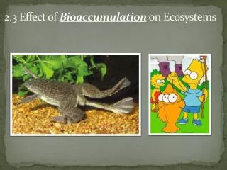 2.3 Effect of Bioaccumulation on Ecosystems