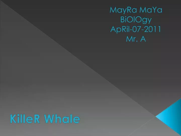 mayra maya biology april 07 2011 mr a