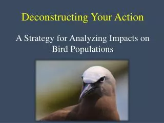 Deconstructing Your Action