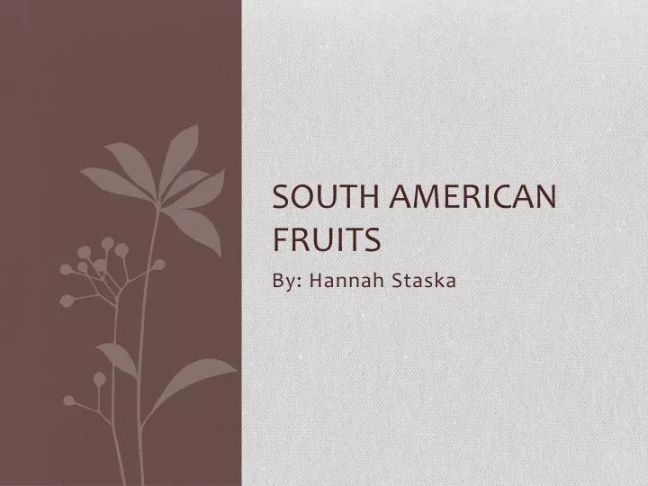 south american fruits