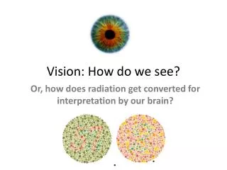 Vision: How do we see?