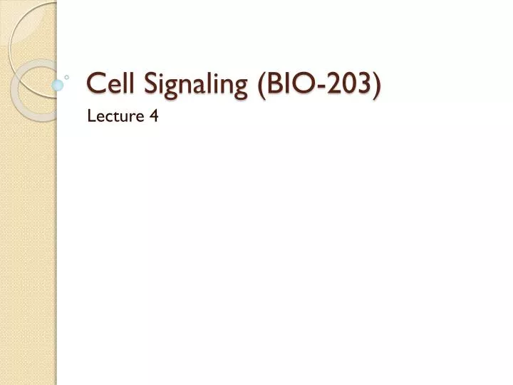 cell signaling bio 203