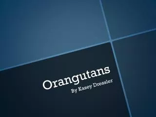 Orangutans