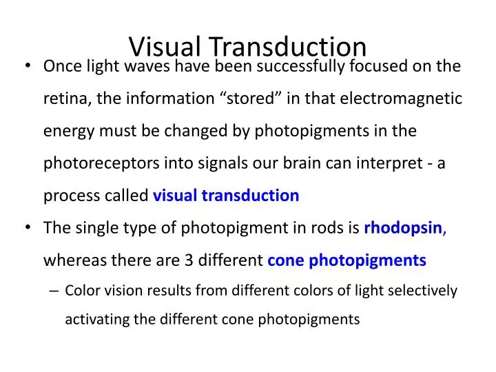 visual transduction