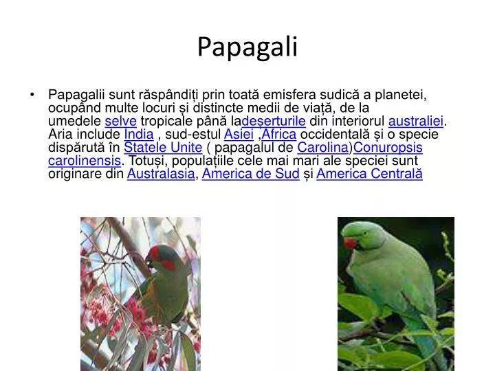 papagali