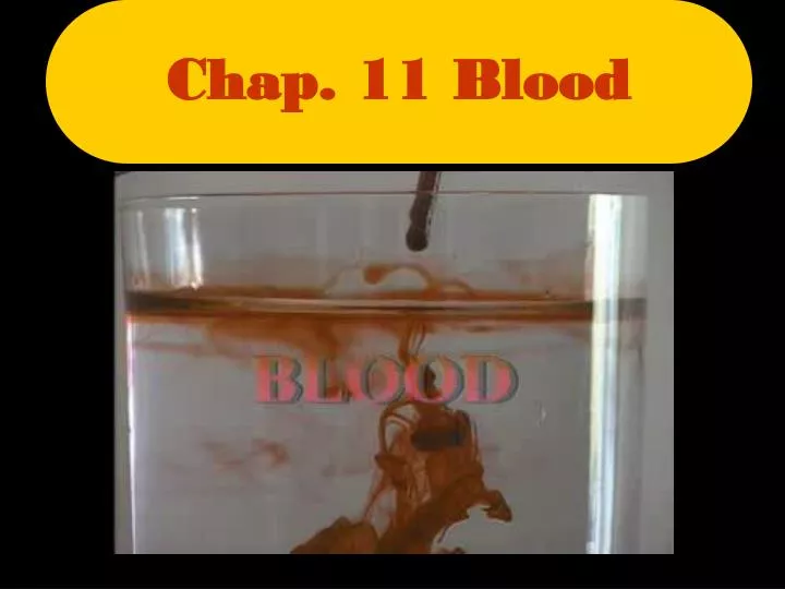 chap 11 blood