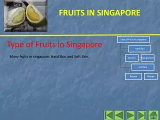 Type of Fruits in Singapore