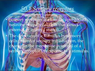 50.1 Sensory receptors