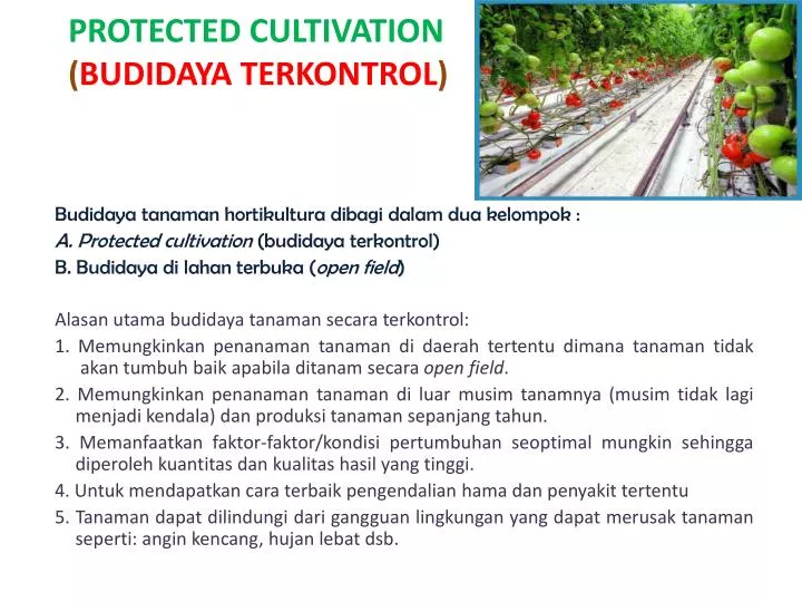 protected cultivation budidaya terkontrol
