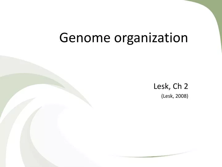genome organization