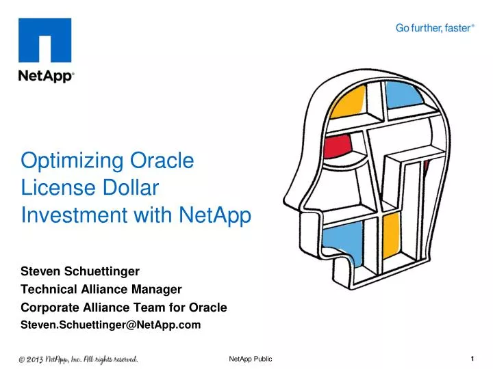 optimizing oracle license d ollar i nvestment with netapp