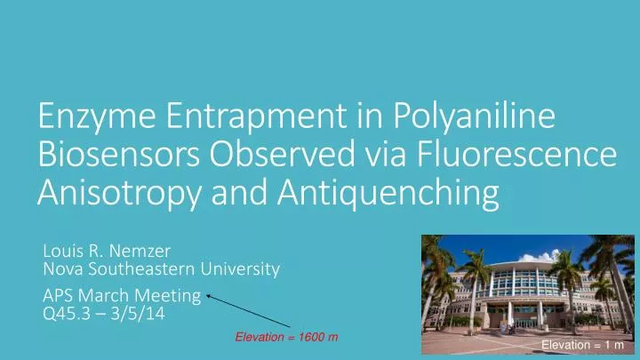 enzyme entrapment in polyaniline biosensors observed via fluorescence anisotropy and antiquenching