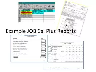 Example JOB Cal Plus Reports