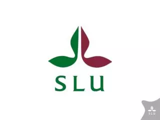 New guidelines for PhD education at SLU