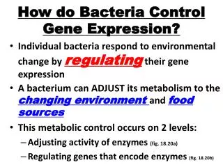 How do Bacteria Control Gene Expression?