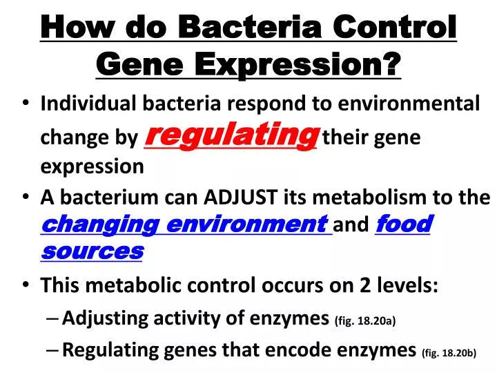 how do bacteria control gene expression