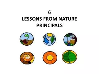 6 LESSONS FROM NATURE PRINCIPALS