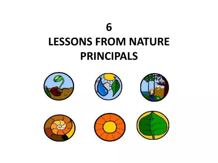 6 lessons from nature principals