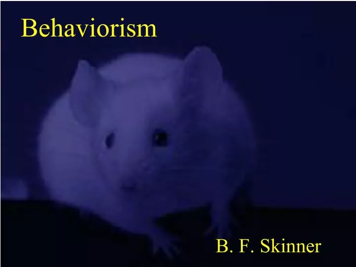 behaviorism