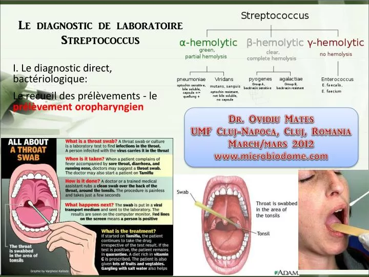 le diagnostic de laboratoire streptococcus