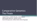 Comparative Genomics The Final e - slide 1