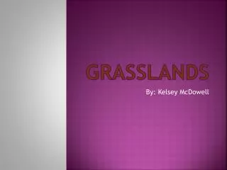 Grasslands