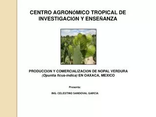 CENTRO AGRON Ó MICO TROPICAL DE INVESTIGACI Ó N Y ENSE Ñ ANZA