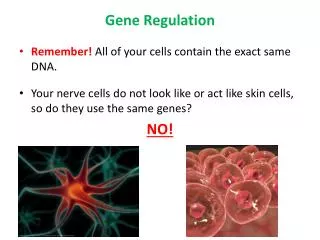 gene regulation