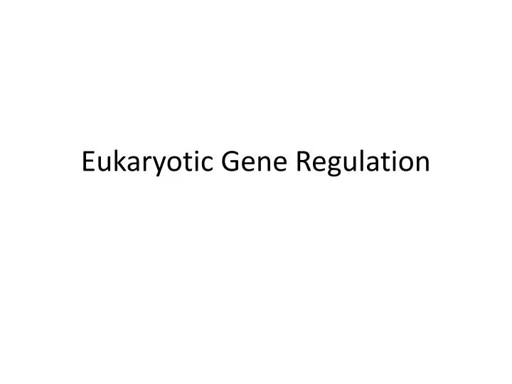 eukaryotic gene regulation