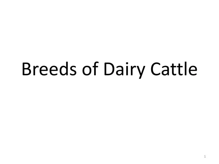 breeds of dairy cattle
