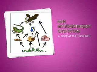 our interdependent ecosystem