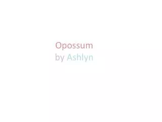 Opossum by Ashlyn