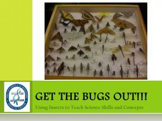 GET THE BUGS OUT!!!