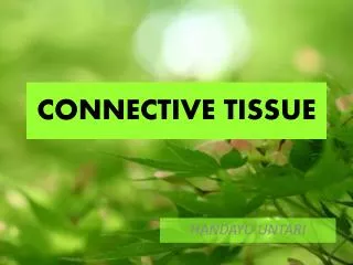 connective tissue