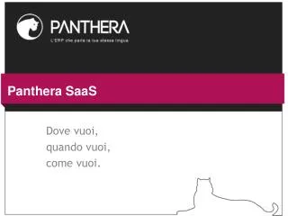 panthera saas