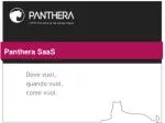Panthera SaaS - slide 1