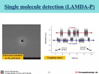 Single molecule detection ( LAMDA-P )