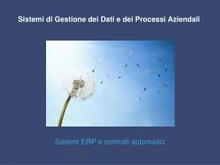 Sistemi di Gestione dei Dati e dei Processi Aziendali